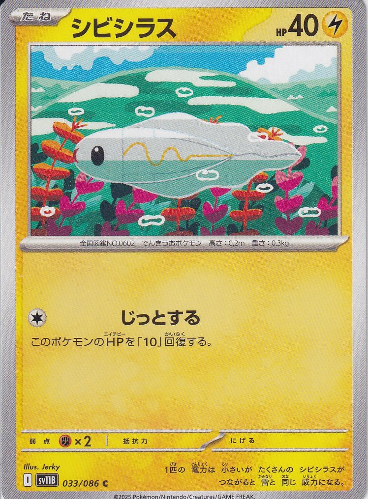 シビシラス [C_033/086_SV11B]