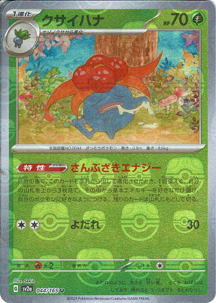 クサイハナ [U_044/165_SV2a]
