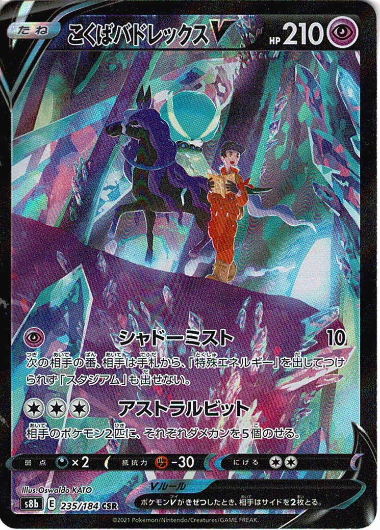 こくばバドレックスV [CSR_235/184_S8b]