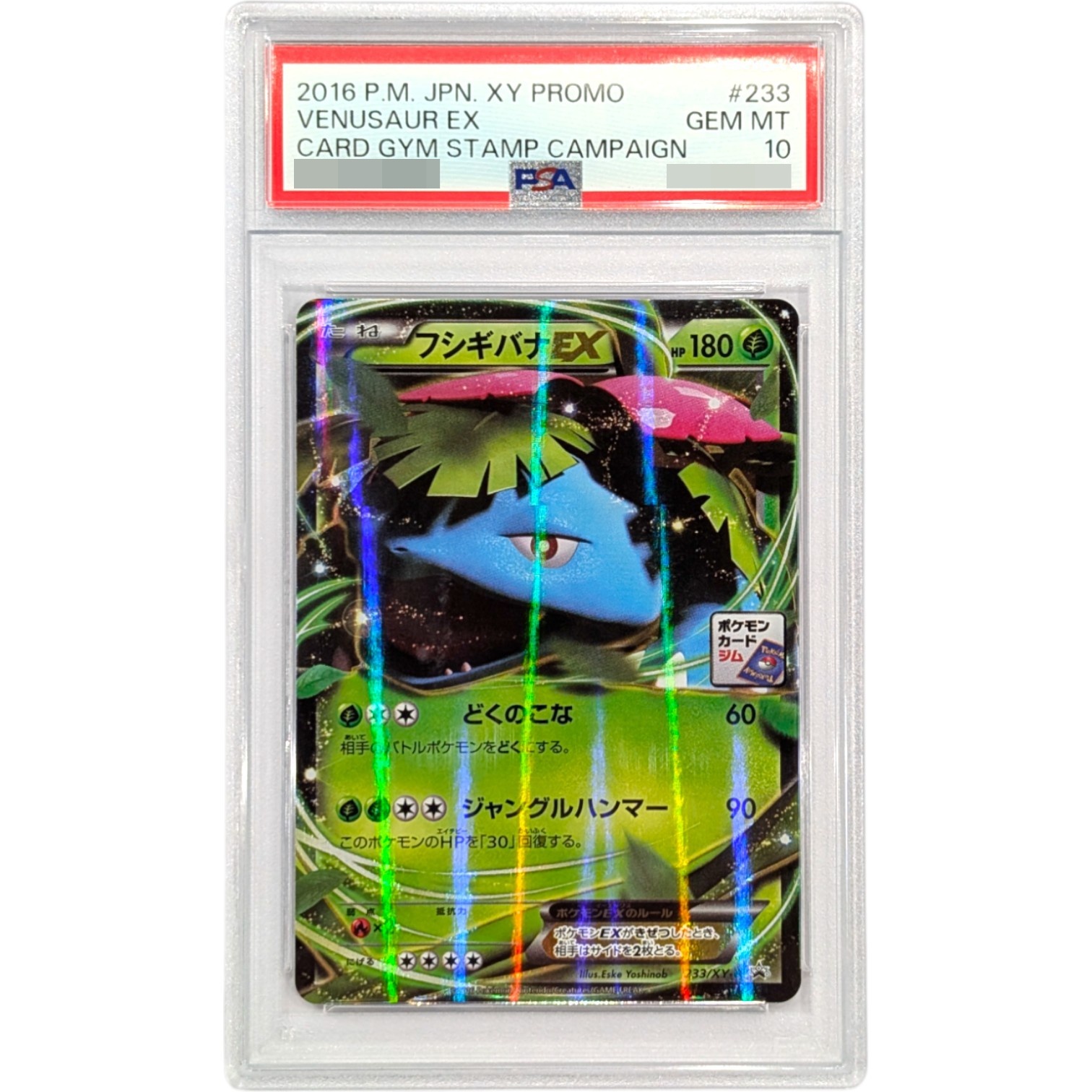 〔PSA10鑑定済〕フシギバナEX【P】{233/XY-P}
