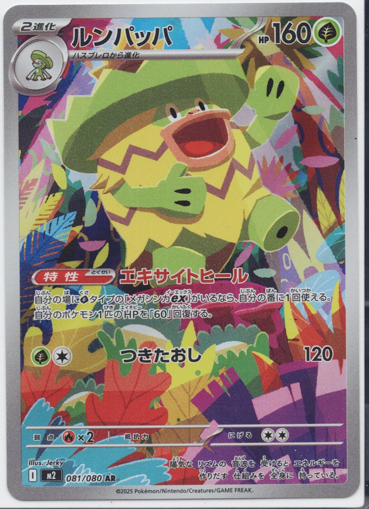 ルンパッパ [AR_081/080_M2]