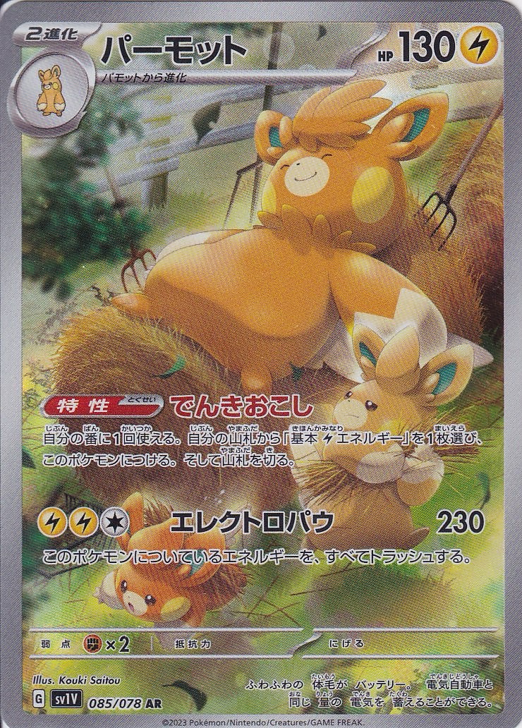 パーモット [AR_085/078_SV1V]