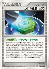 かいの化石 [◆_081/090_DPt4-B]