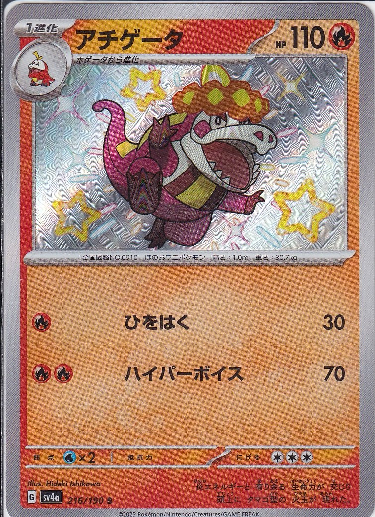 アチゲータ [S_216/190_SV4a]