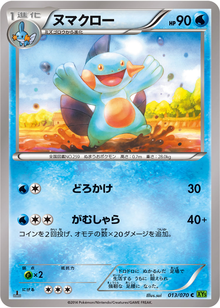 ヌマクロー [C_013/070_XY5-Bt]