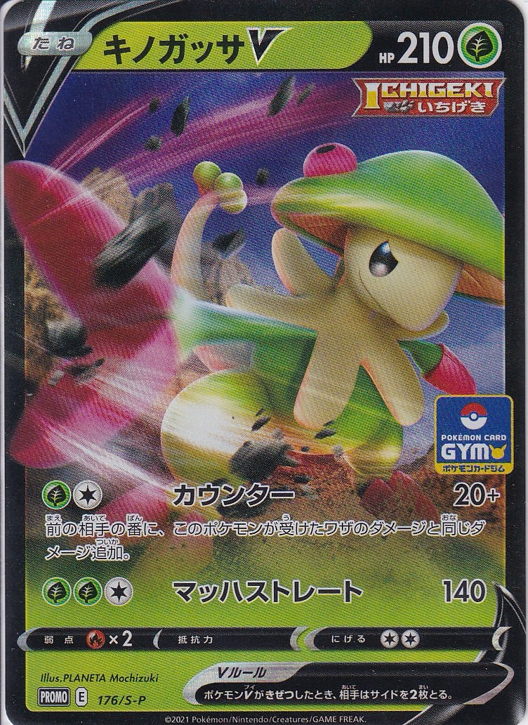 キノガッサV [-_176/S-P_S-P]