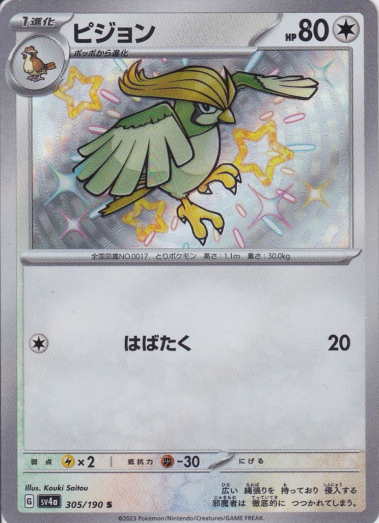 ピジョン [S_305/190_SV4a]