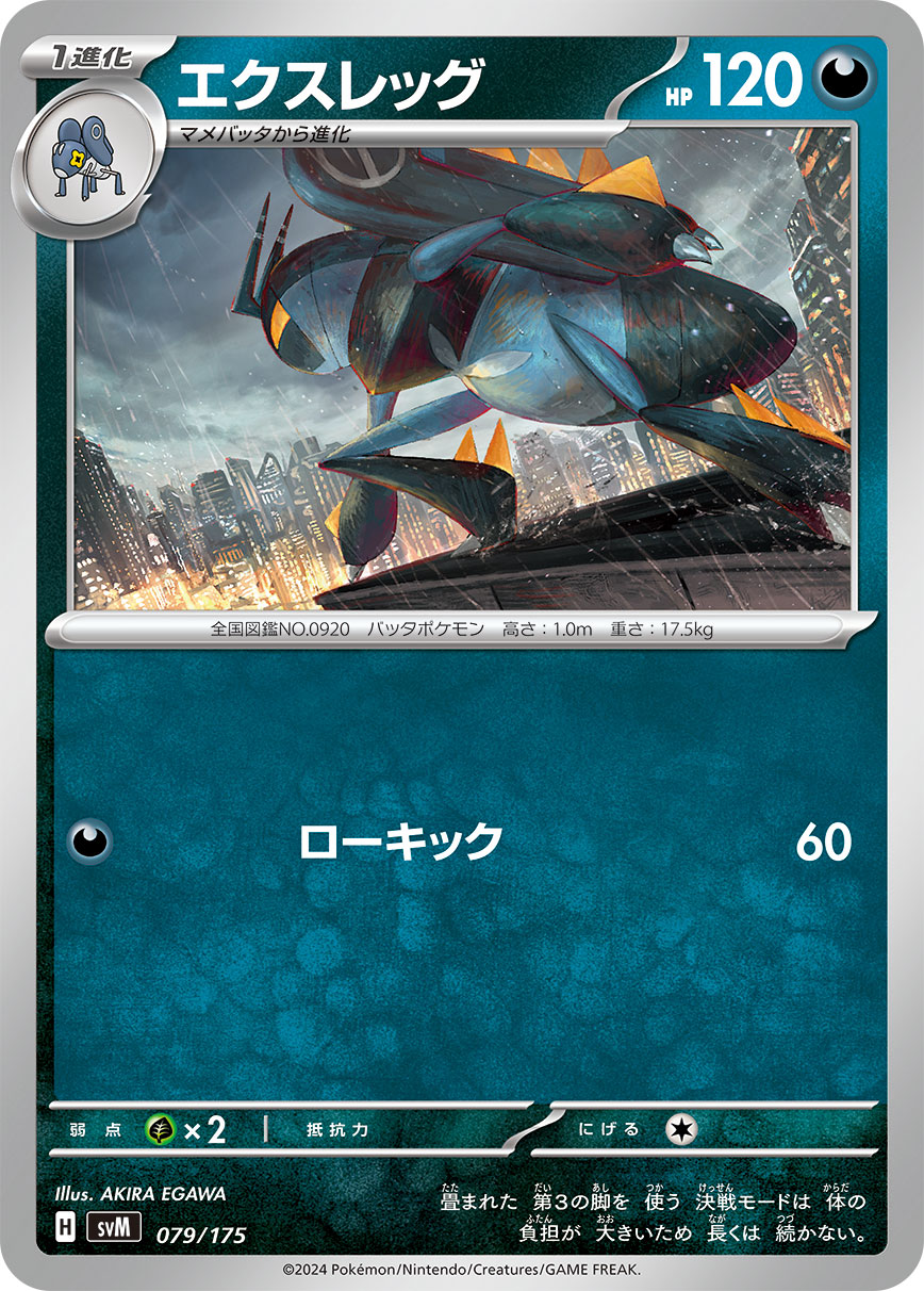 エクスレッグ [-_079/175_SVM]
