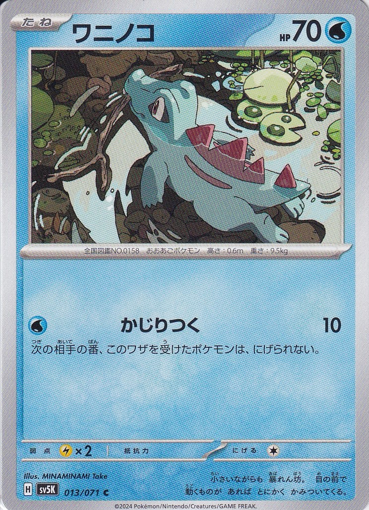 ワニノコ [C_013/071_SV5K]